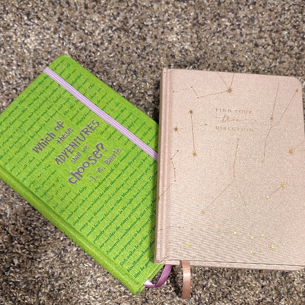 DesignWorks Ink Starry Beige Journal & A NOVEL JOURNAL PETER PAN BUNDLE LISTING - Picture 2 of 14